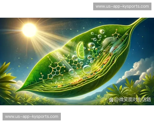 水星与阳光的终极博弈：在极寒与炽热之间，寻找生命的黄金分割点